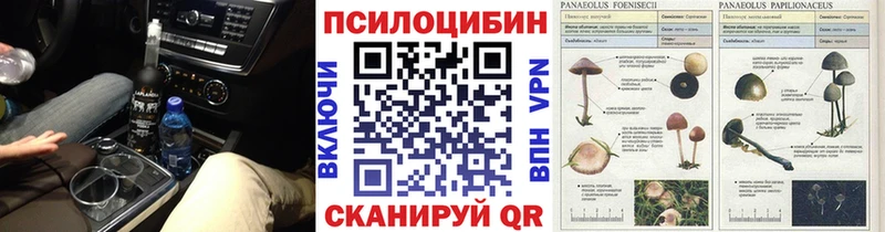 Галлюциногенные грибы мухоморы  Бикин 